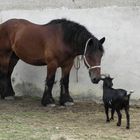 Salut toi, ça va ??? bisoubisoubisou