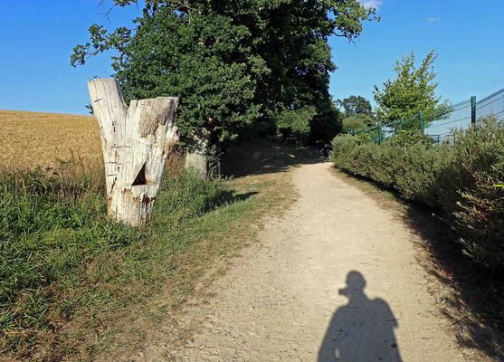 salut, totem, je suis l'ombre