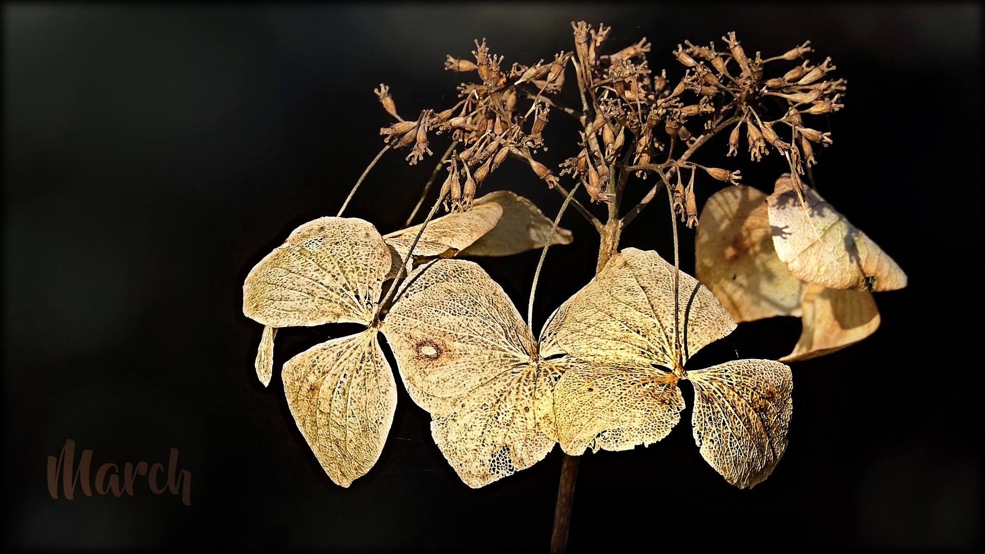 ... salute to the departing nature