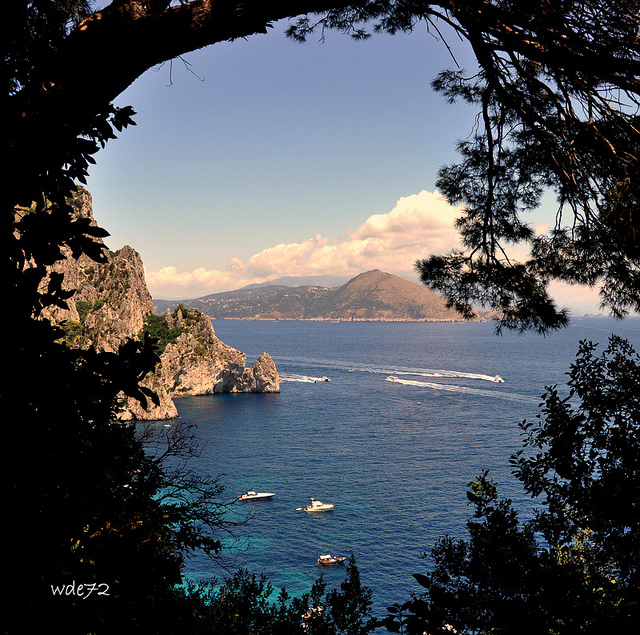 Saluti da Capri