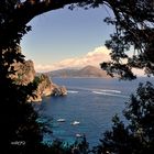 Saluti da Capri