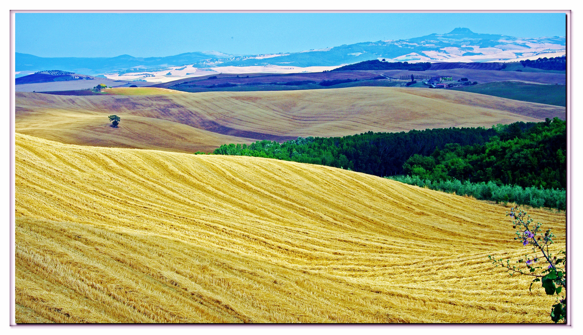 Saluti e auguri dalla toscana! !