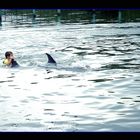 Salvado por delfines