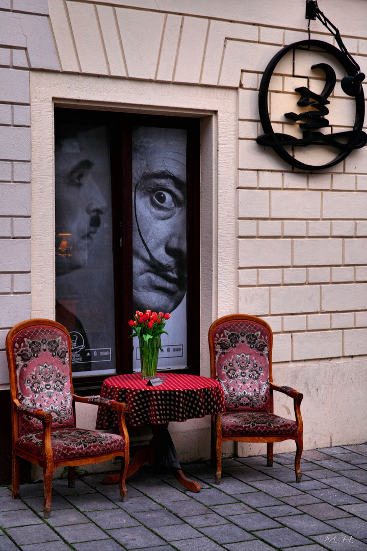 Salvador, le Voyeur ....