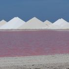Salz und mehr Salz in Bonaire