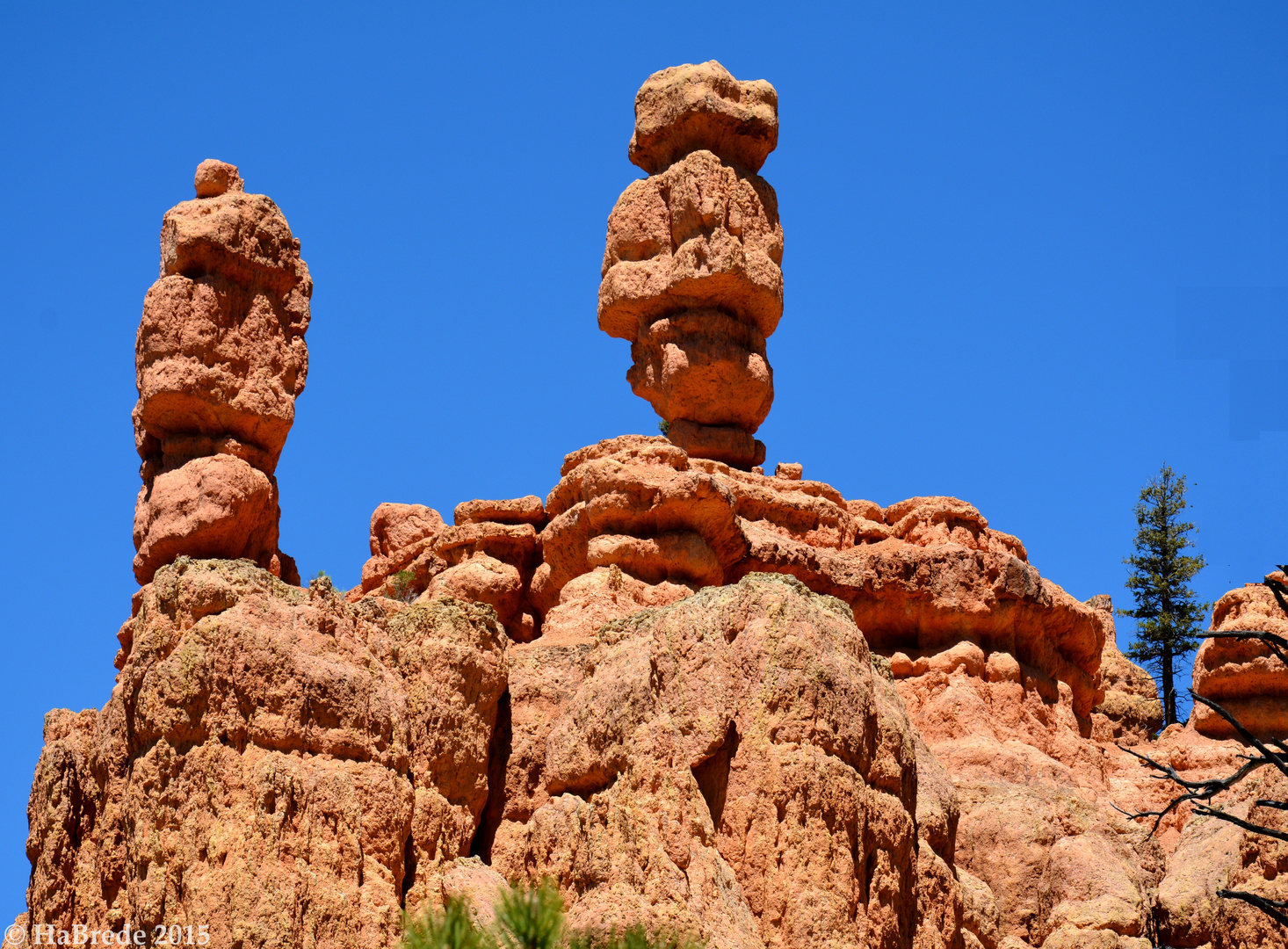 Salz und Pfeffer im Red Canyon