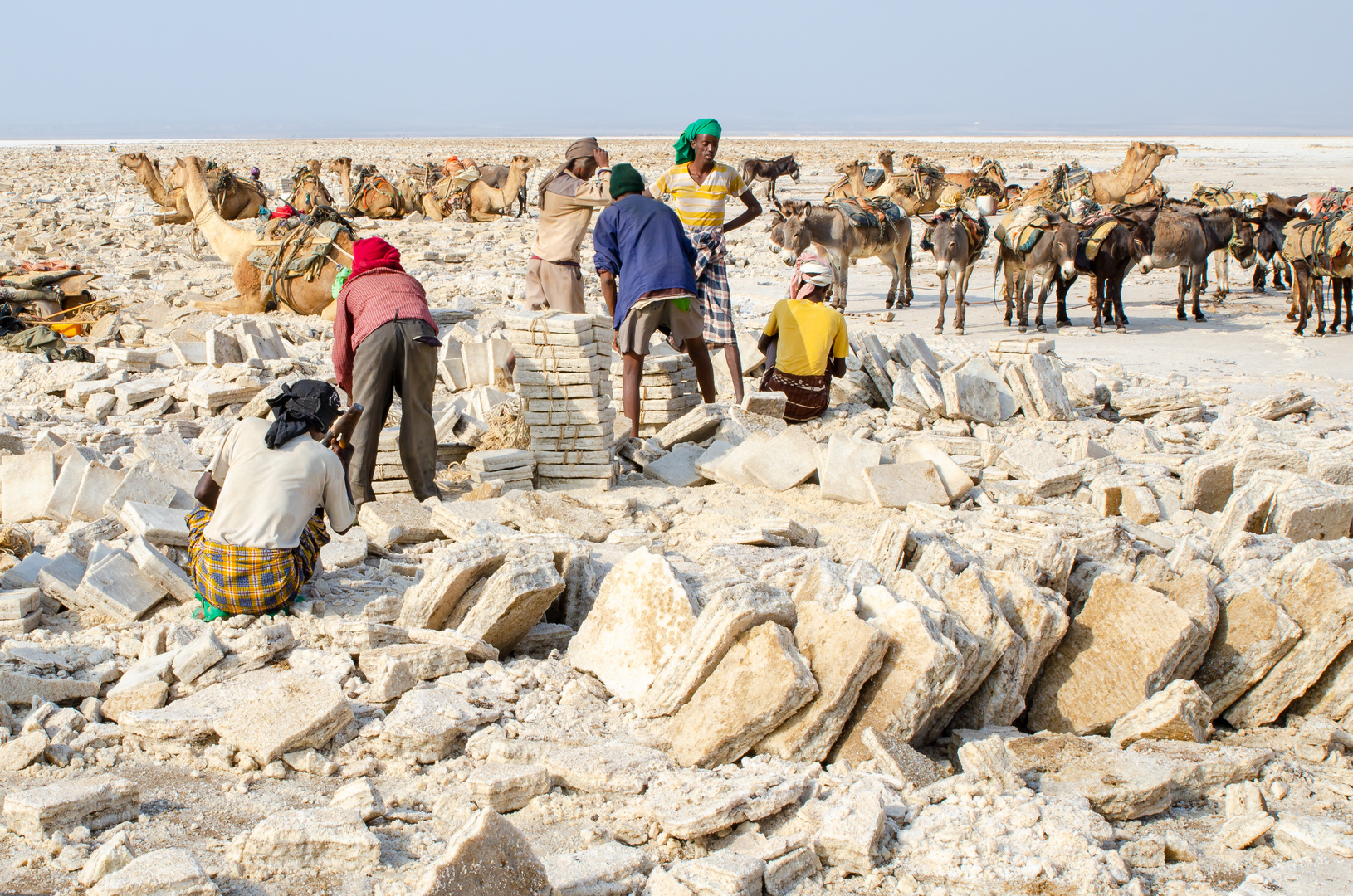 Salzabbau in der Danakil-Senke