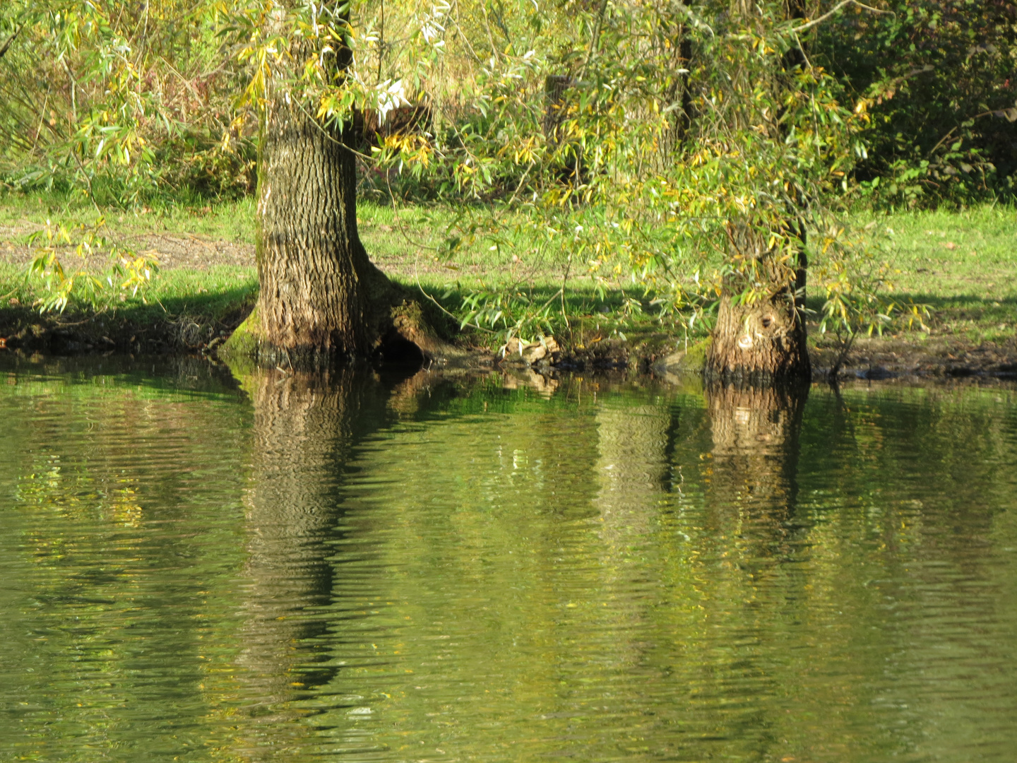 Salzachsee