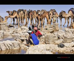 Salzarbeiter am Lake Asala