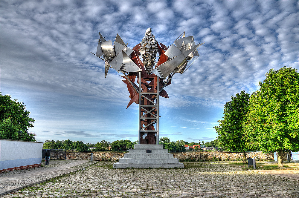 Salzblume in Schönebeck