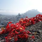 Salzburg im Herbstwandel