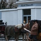 Salzburg im Winter