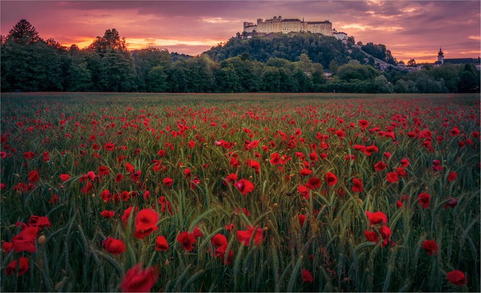 —— salzburg in rot ——