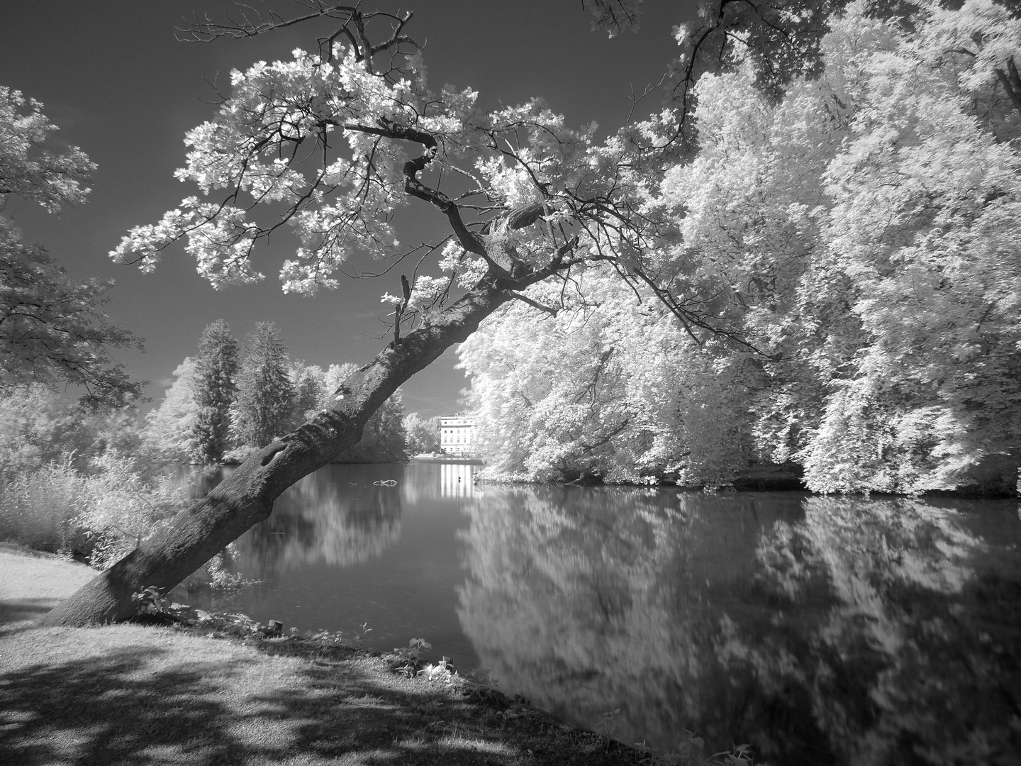 Salzburg, Leopoldskroner Weiher