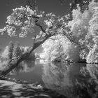 Salzburg, Leopoldskroner Weiher