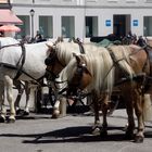 Salzburg   Residenzplatz