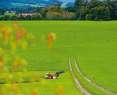 Salzburg_34