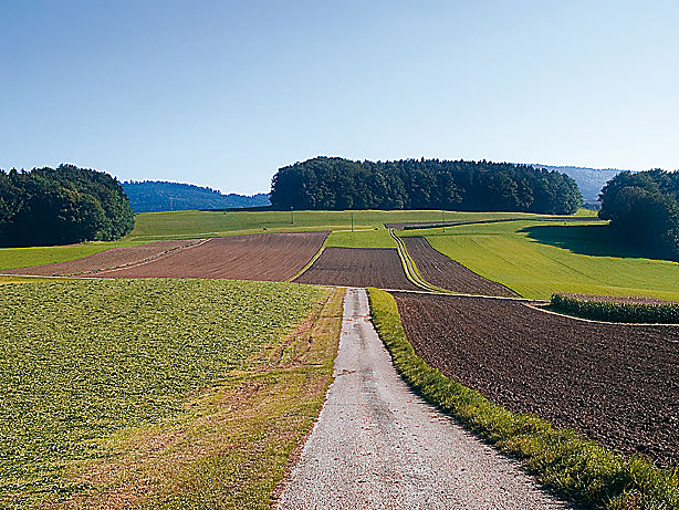 Salzburg_61