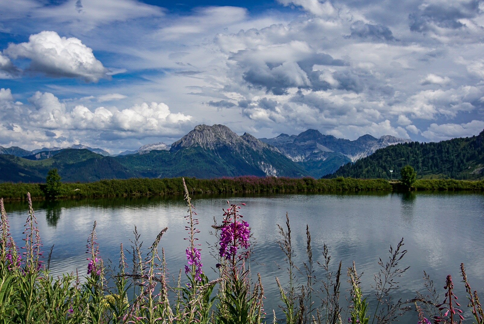 Salzburger Almenwelt