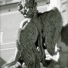 Salzburger Engel sw