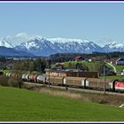 Salzburger Frühling