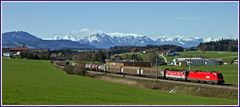 Salzburger Frühling