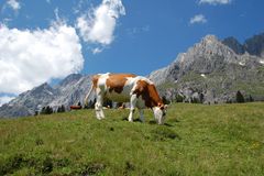 Salzburger Land