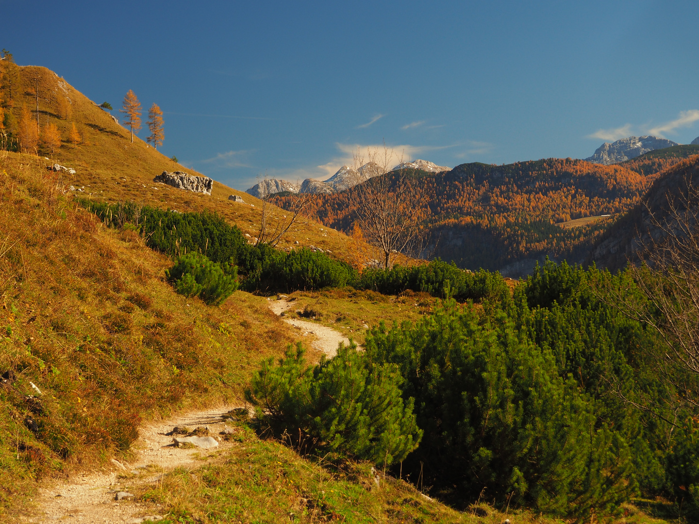 Salzburger Land