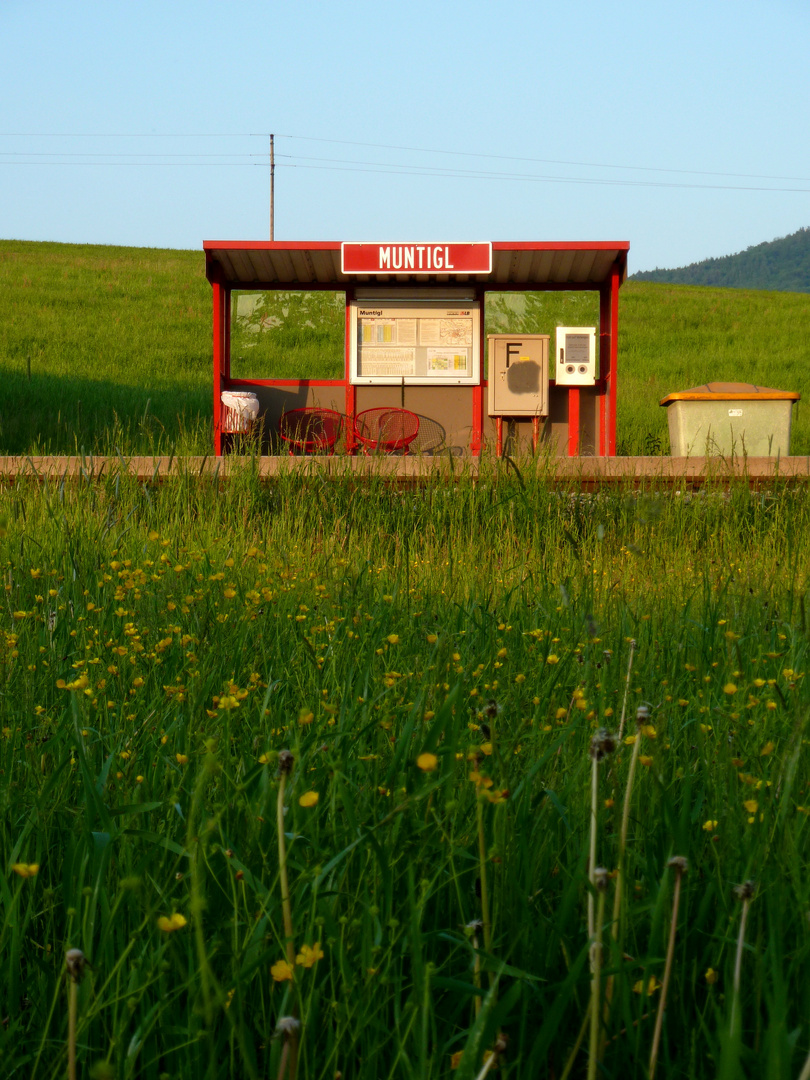 Salzburger Lokalbahn (S1), Hp Muntigl (Bergheim b. Salzburg)