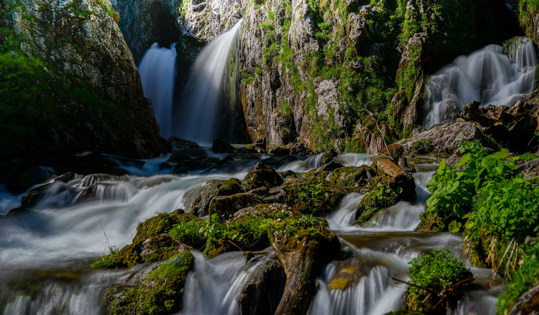 Salzburger Wasserwelten. 