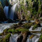 Salzburger Wasserwelten. 