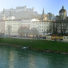 SalzburgPanorama zum fertig malen!