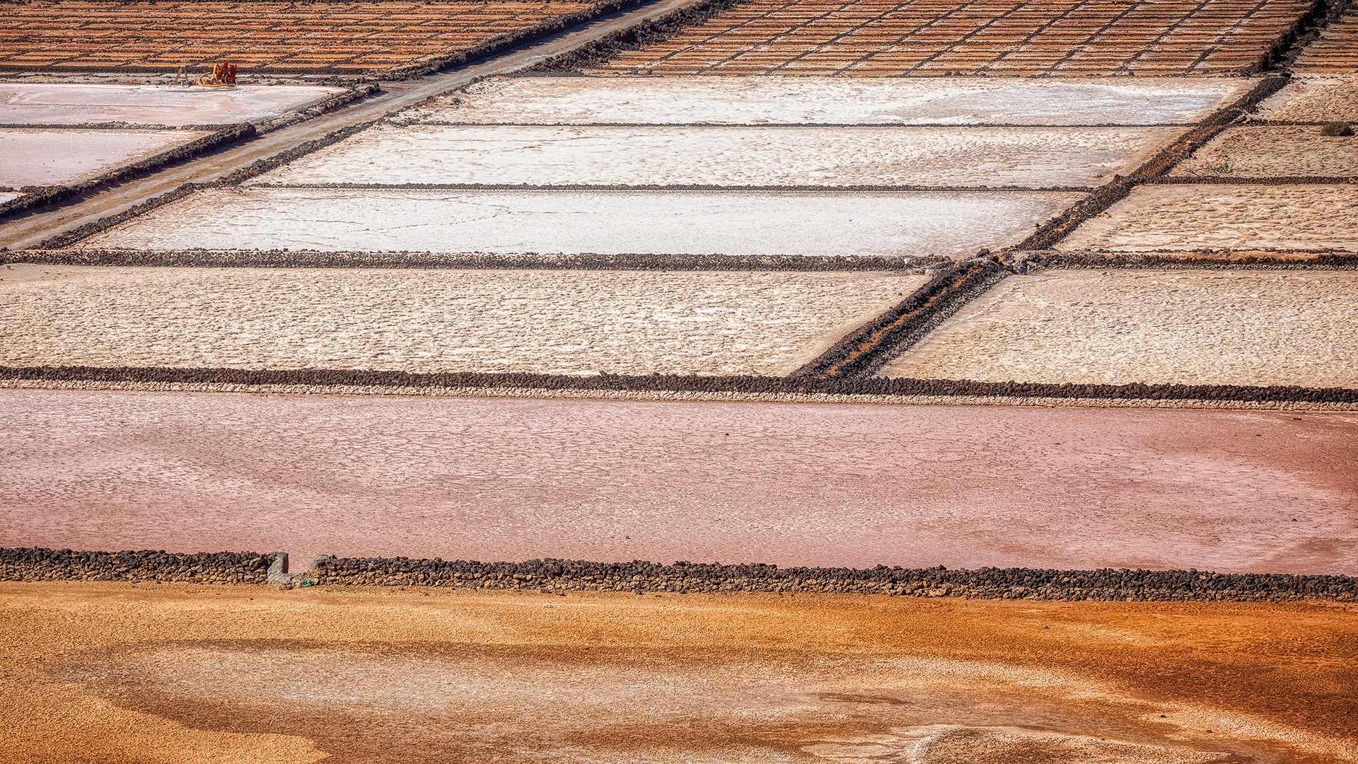 Salzfelder, Salinas De Janubio