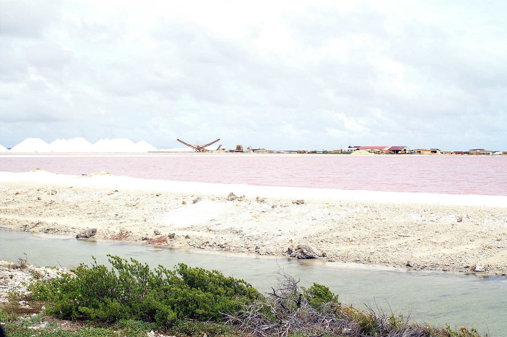 Salzgewinnung (Bonaire)
