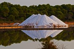 Salzgewinnung Ses Salines Colonia San Jordi Mallorca