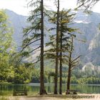 Salzkammergut: der hintere Langbathsee