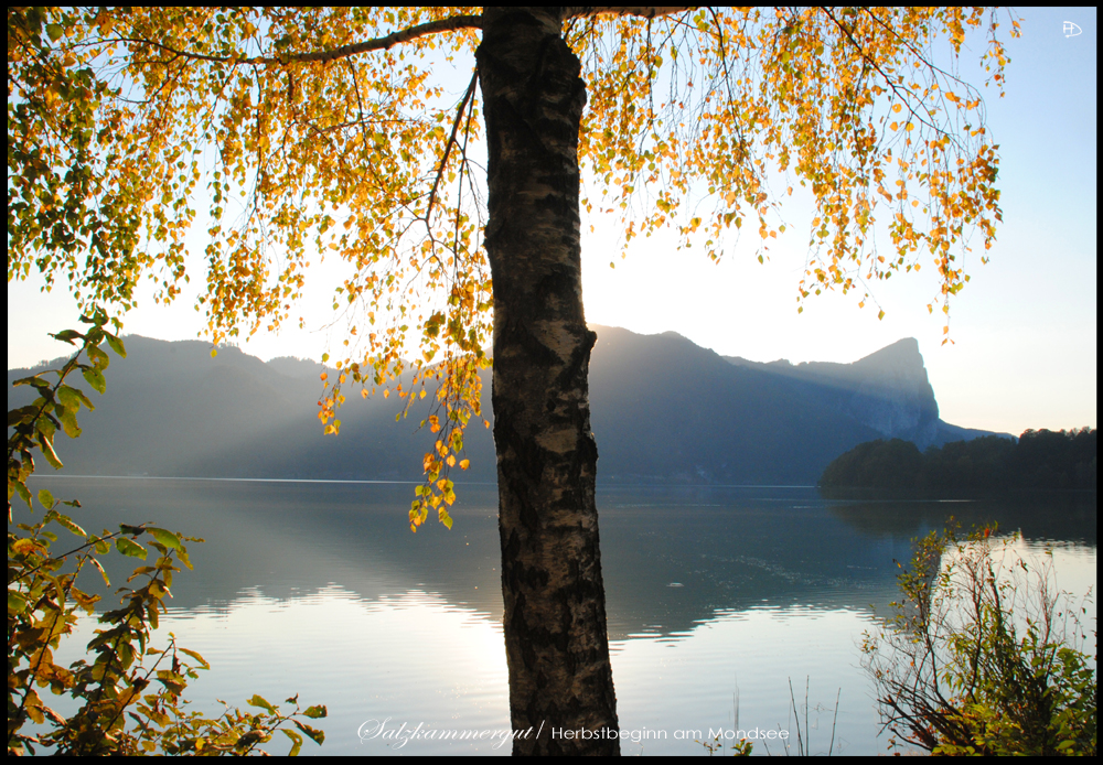 Salzkammergut - Mondsee im Herbst 1