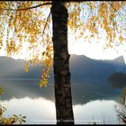 Salzkammergut - Mondsee im Herbst 1