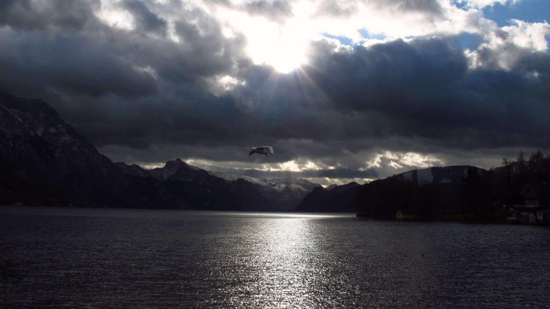 Salzkammergut pur