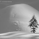 Salzkammergut: Schneeszenario bei Bad Aussee