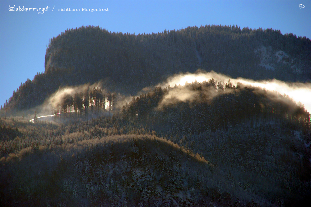 Salzkammergut - sichtbarer Morgenfrost