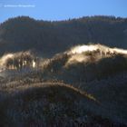 Salzkammergut - sichtbarer Morgenfrost