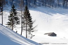 Salzkammergut: verschneite Alm am Zwölferhorn