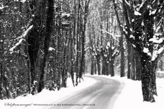 Salzkammergut - Wintereinbruch in der Kaltenbachau 2