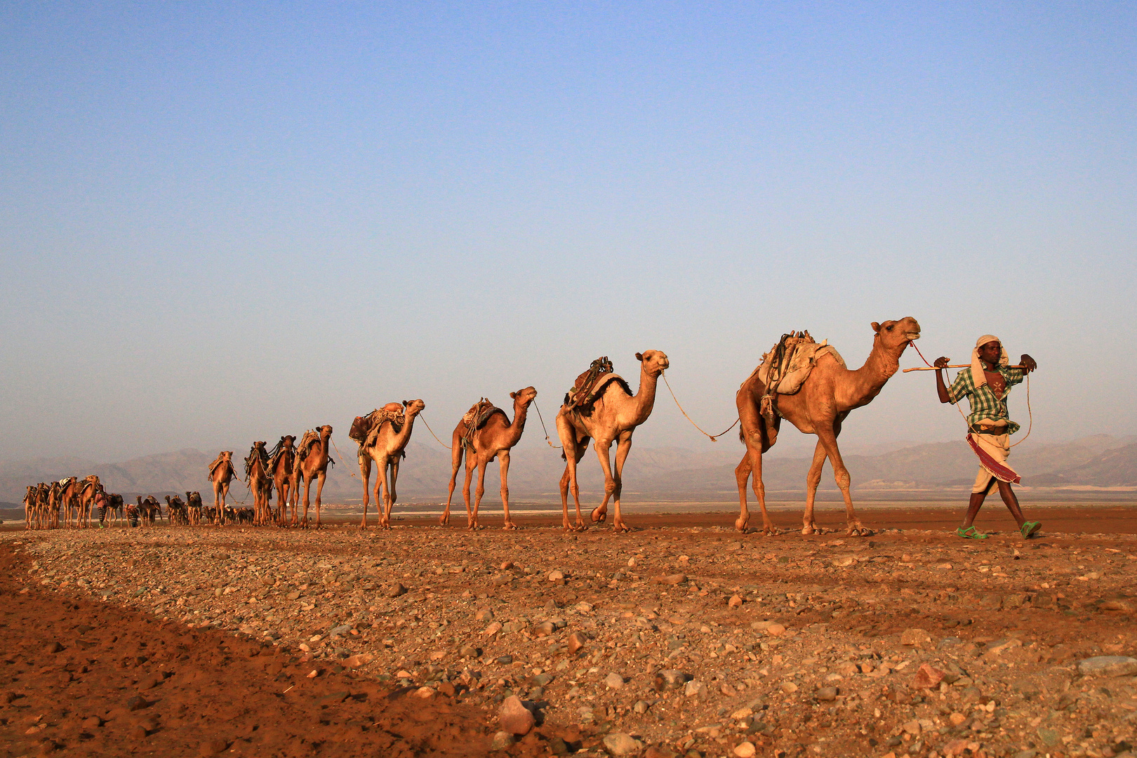 Bildergebnis fÃ¼r die WÃ¼ste von Danakil, kostenlosen bilder