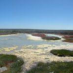 Salzlaaken am Rande des Nationalparks