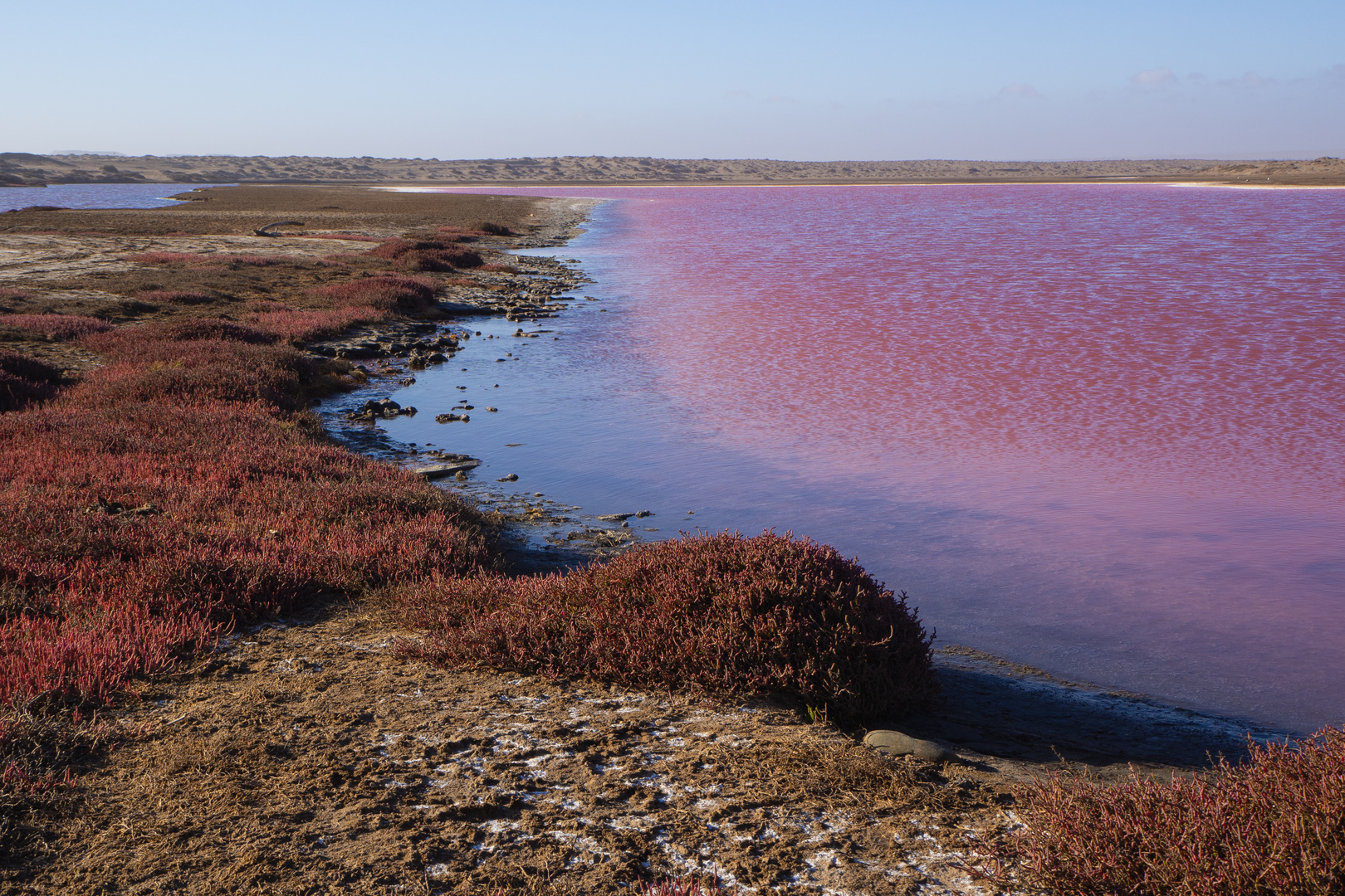 Salzlagune Oranjemund Namibia