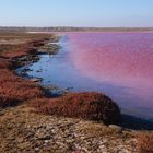 Salzlagune Oranjemund Namibia