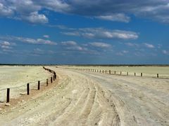 Salzpfanne, Etosha NP, Namibia.