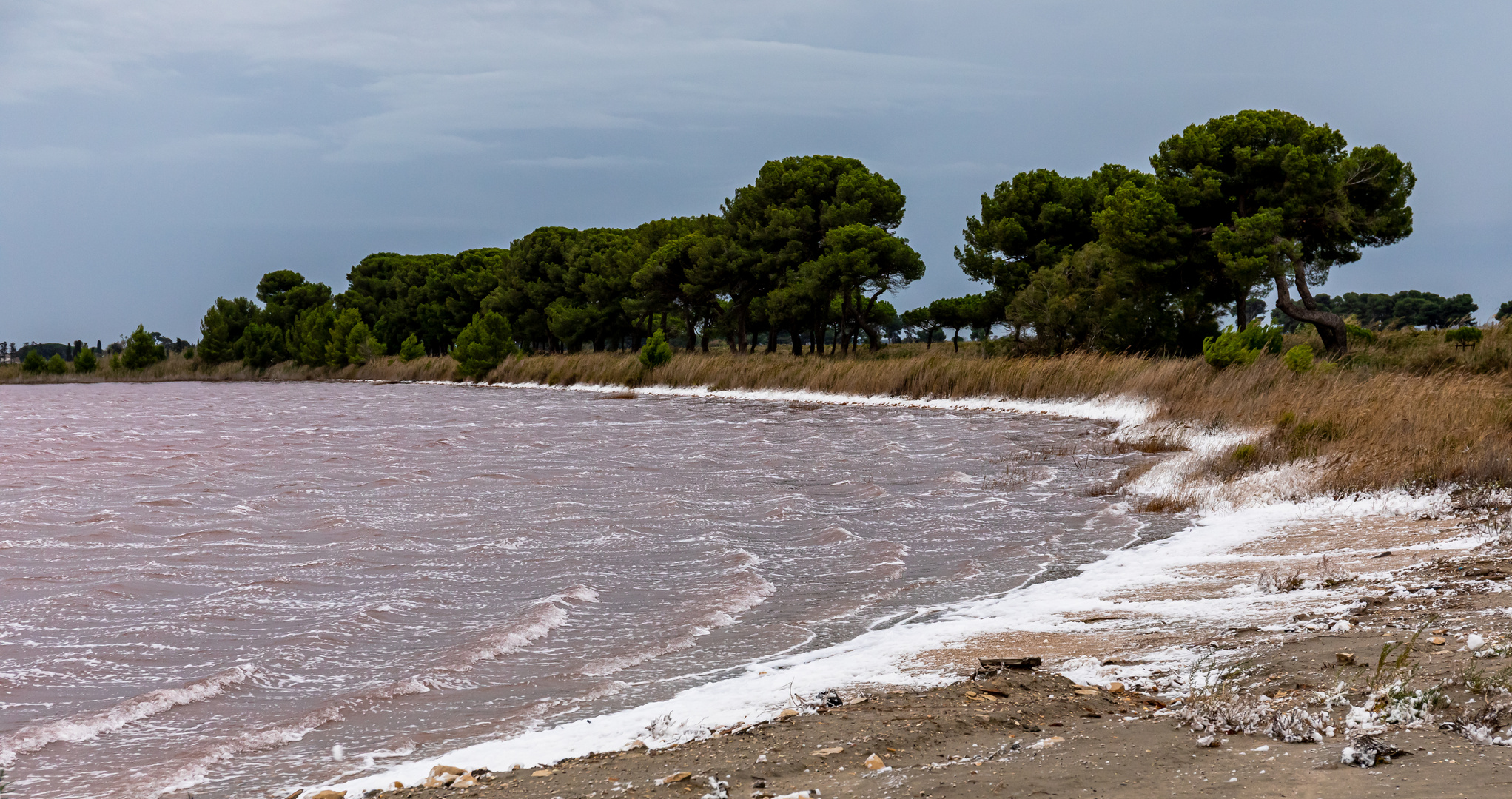 Salzpfanne in der Camargue 